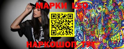 spice Абакан