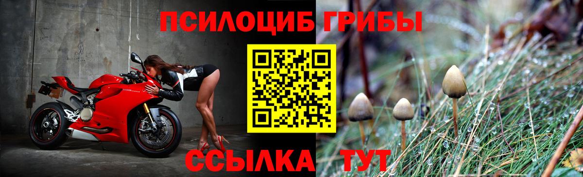 Галлюциногенные грибы мицелий  Псилоцибиновые грибы Cubensis  Россия  Вход с VPN 